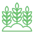 Productos Agricolas